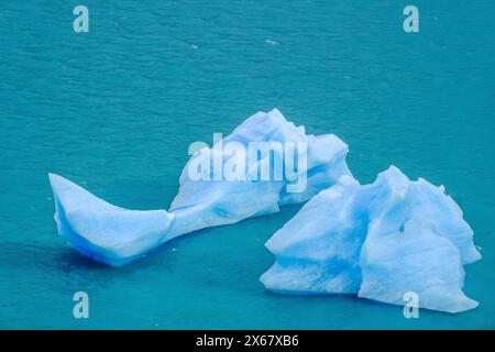El Calafate, Patagonien, Argentinien, Perito Moreno Gletscher im Los Glaciares Nationalpark. Der Perito-Moreno-Gletscher ist Teil des patagonischen Eisfeldes Campo Hielo Sur, dem drittgrößten Süßwasserreservat der Welt. Stockfoto