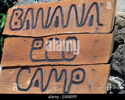 Landwirtschaft, Agritourismus, Azoren, Banana Eco-Camp, Camping, Kaffeeplantage, umweltfreundlich, Umwelt, grün, im Freien, Portugal, Zelt, Terceira Stockfoto