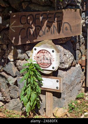 Landwirtschaft, Agritourismus, Azoren, Banana Eco-Camp, Camping, Kaffeeplantage, umweltfreundlich, umweltfreundlich, grün, Portugal, Zelt, Terceira Stockfoto