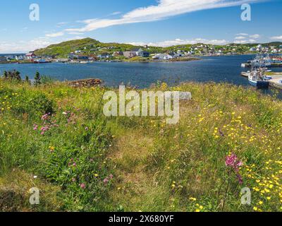 Atlantik, Kanada, Fischergemeinde, Neufundland, Nordamerika, Tourismus, Stadt Twillingate Stockfoto