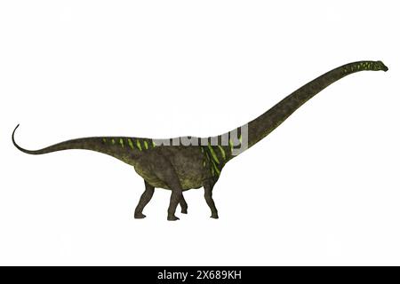 Dinosauriers war ein Pflanzenfresser Sauropod Dinosaurier aus dem späten Jura Periode Chinas. Stockfoto