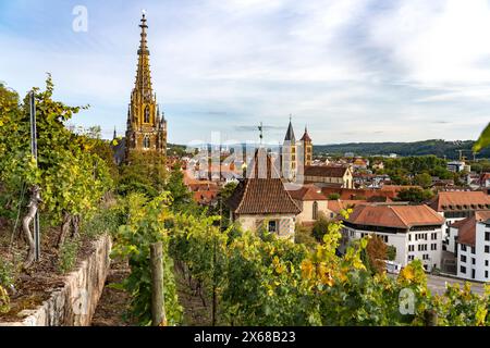 Weinberg, Neckarhaldentor, Frauenkirche und Pfarrkirche St. Dionys in Esslingen am Neckar, Baden-Württemberg Stockfoto