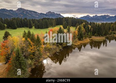 Hegratsriede aus der Luft gesehen, Halblech, Allgäu, Bayern, Deutschland Stockfoto