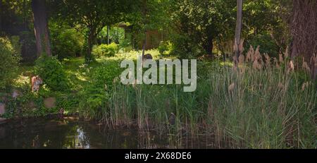 Bengalischer Tiger in seinem Gehege, Spaziergang im 1858 gegründeten Frankfurter Zoologischen Garten und zweitältester Zoo Deutschlands Stockfoto