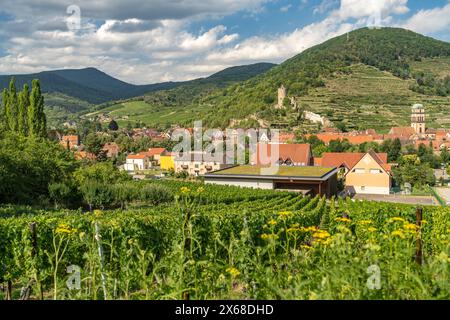 Stadtblick und Landschaft mit Weinbergen rund um Kaysersberg, Elsass, Frankreich Stockfoto