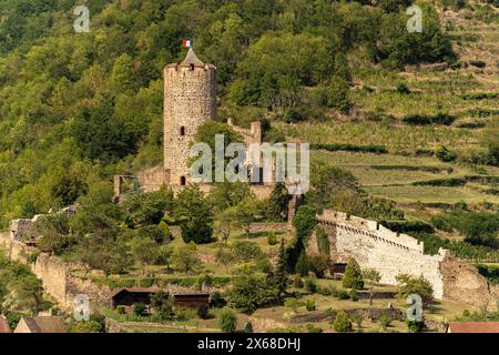 Schloss Kaysersberg, Elsass, Frankreich Stockfoto