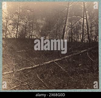 Durch Artilleriefeuer zerstörte Bäume auf der Südseite der Plank Road, Bürgerkriegsfotos 1861-1865 Stockfoto