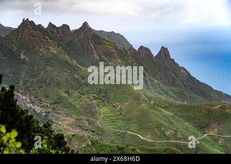 Landschaft an der Küste in den Anaga Bergen bei Taganana, Teneriffa, Kanarischen Inseln, Spanien Stockfoto