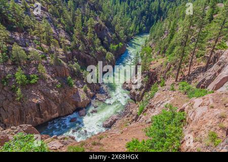 Animas River in den San Juan Mountains in Colorado. Stockfoto