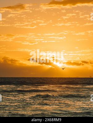 Panoramauntergang über dem Meer, Playa Del Carmen, Mexiko Stockfoto