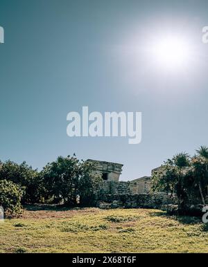 Alte Maya-Ruinen in Tulum, Mexiko, unter klarem Himmel Stockfoto