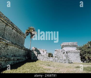 Alte Maya-Ruinen in Tulum, Mexiko, unter klarem Himmel Stockfoto