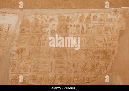 Detaillierte altägyptische Hieroglyphen auf Stein in Sakkara, Ägypten Stockfoto