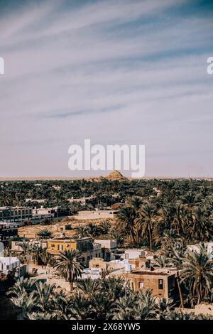 Panoramablick auf dichte Palmen mit Wüstenhügeln im Hintergrund, Siwa Oase, Ägypten. Stockfoto