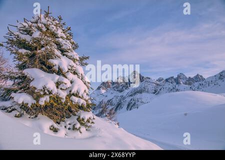 Italien, Veneto, Provinz Belluno, Falcade, Blick auf Pale di San Martino vom Talpass, Dolomiten Stockfoto