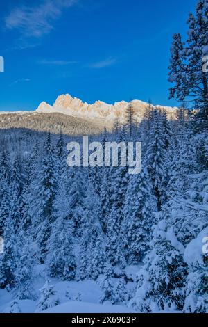 Italien, Veneto, Provinz Belluno, Livinallongo del Col di Lana, die von den ersten Sonnenstrahlen nach starkem Schneefall erleuchteten Berge Settsas, Dolomiten Stockfoto