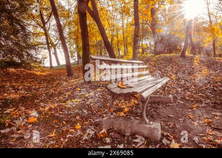 Italien, Veneto, Provinz Padua, eine Bank im historischen Park der Villa Cappello (Kaiserpark) in Galliera Veneta Stockfoto