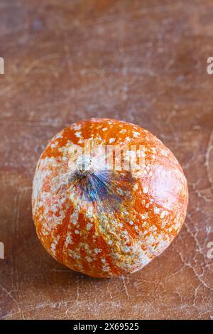 Kürbis mit Schimmel, Nahaufnahme, freier Text, Stillleben Stockfoto