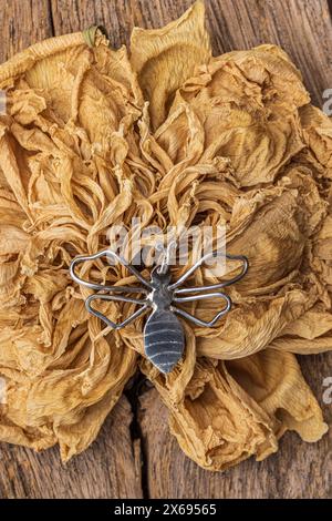 Große dekorative Metallbiene auf einer getrockneten Dahlienblume Stockfoto