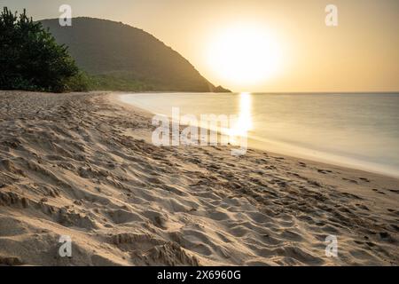 Guadeloupe, eine karibische Insel auf den französischen Antillen. Blick auf den Strand Grande Anse. Einsame Bucht, Füße im Sand und Blick auf das Meer bei Sonnenuntergang. Landschaftsaufnahme eines tropischen Traums, Wellen, Palmen Stockfoto