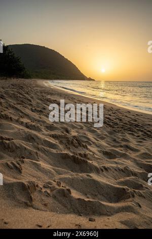 Guadeloupe, eine karibische Insel auf den französischen Antillen. Blick auf den Strand Grande Anse. Einsame Bucht, Füße im Sand und Blick auf das Meer bei Sonnenuntergang. Landschaftsaufnahme eines tropischen Traums, Wellen, Palmen Stockfoto