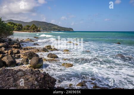 Natur in einer besonderen Landschaft. Eine felsige Küste am Meer. Großartige Landschaft mit Klippen in der Karibik, die Wellen stürzen gegen die Insel Guadeloupe auf den französischen Antillen. Stockfoto