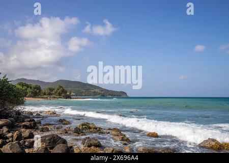 Natur in einer besonderen Landschaft. Eine felsige Küste am Meer. Großartige Landschaft mit Klippen in der Karibik, die Wellen stürzen gegen die Insel Guadeloupe auf den französischen Antillen. Stockfoto