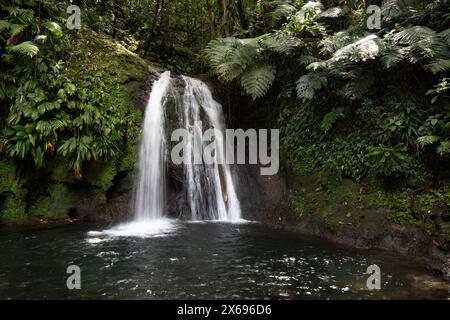 Natur pur, Wasserfall mit Teich im Wald. Die Ecrevisses Wasserfälle, Cascade aux ecrevisses auf Guadeloupe in der Karibik. Französische Antillen, Frankreich Stockfoto