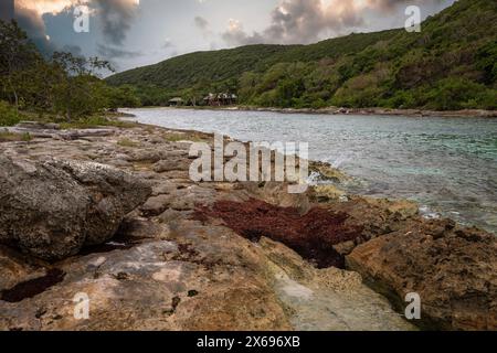 Felsige Küste, lange Bucht am Meer bei Sonnenuntergang. Gefährlicher Blick auf das Karibische Meer. Tropisches Klima bei Sonnenuntergang in La Porte d'Enfer, Grande Terre, Guadeloupe, Französische Antillen Stockfoto