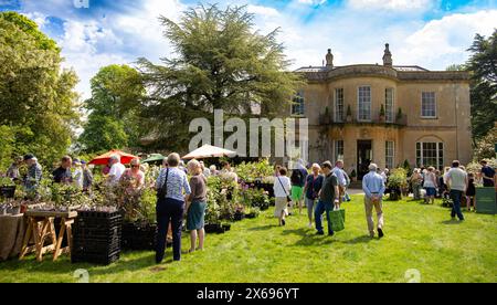 Besucher genießen einen sonnigen Tag im eleganten Salthrop House Wroughton Rare Plant Sale im Mai 2024 Stockfoto