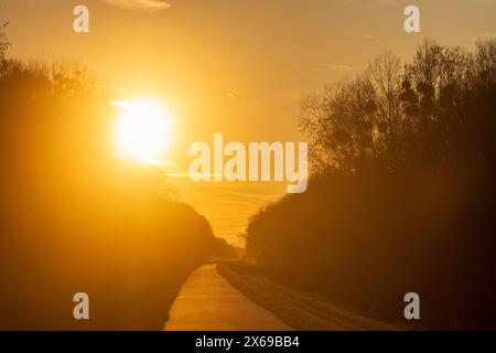 Nationalpark Donau-Auen, Nationalpark Donau-Auen, Staudamm Hubertusdamm, Sonne in Donau, Niederösterreich, Österreich Stockfoto