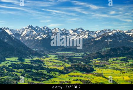 Frühling in den Bergen. Blick auf das Illertal bei Oberstdorf. Gelb blühende Wiesen, Wälder und schneebedeckte Berge unter blauem Himmel. Allgäuer Alpen, Bayern, Deutschland, Europa Stockfoto