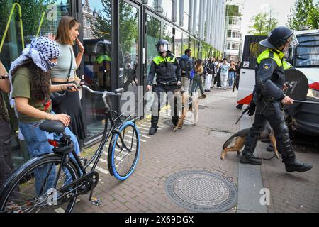 Amsterdam, Niederlande, 13. Mai 2024.Proteste für palästina an der UVA-Universität Amsterdam werden fortgesetzt. Das Innere des Gebäudes am Roeterseiland wurde beschädigt und Barrikaden errichtet. Die Polizei hat den Campus geräumt. Quelle: Pmvfoto/Alamy Live News Stockfoto