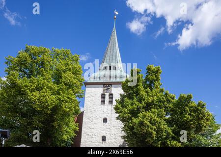 Stadtkirche, Rotenburg an der Wümme, Niedersachsen, Deutschland, Europa Stockfoto