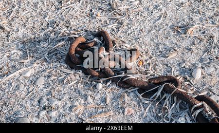 Große, rostige, dünne Kette auf den Felsen. Stockfoto