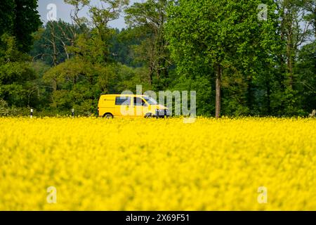 Landschaft am Niederrhein, Postwagen, Postfrachter im VW-Bus auf der Bundesstraße B57, zwischen Xanten und Kalkar, Straßenverkehr, NRW, Deutschland, Stockfoto