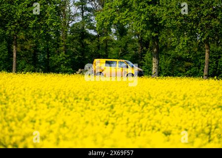 Landschaft am Niederrhein, Postwagen, Postfrachter im VW-Bus auf der Bundesstraße B57, zwischen Xanten und Kalkar, Straßenverkehr, NRW, Deutschland, Stockfoto