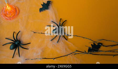 Halloween-Dekorationen, Kürbisse, Fledermaus, Netz, Stacheln auf orangem Hintergrund. Halloween-Party-Grußkarte. Stockfoto