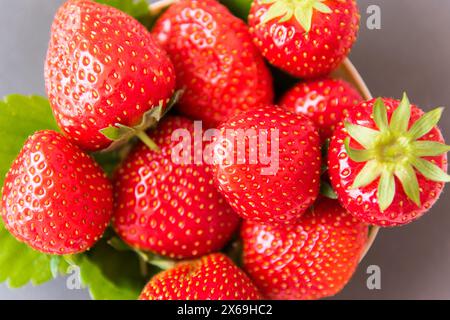 Frische Erdbeeren in der Naturschale auf rustikalem Hintergrund aus dunklem Stein. Stockfoto