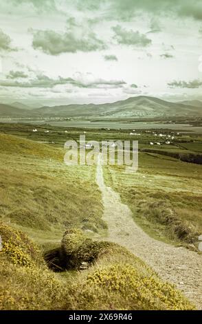 Langer, einsamer Straßenweg auf Valentia Island, Iveragh, Kerry, Westirien. Sommernachmittagabend. Weiße Hütten in der Ferne Stockfoto