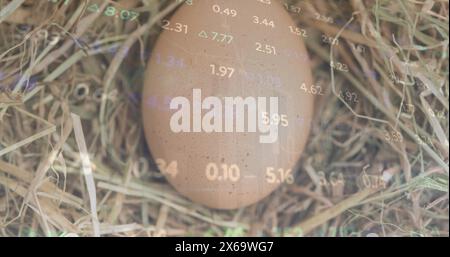Bild von sich ändernden Zahlen und Graphiken, die sich über die Nahaufnahme des braunen Eies im Nest bewegen Stockfoto