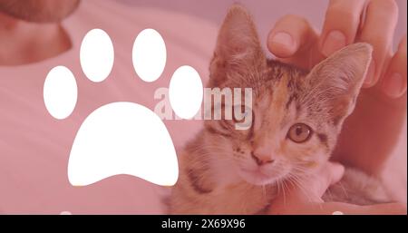 Bild einer Katzenpfote, die sich mit Gelb über dem Kätzchen füllt, das im Hintergrund streichelt Stockfoto