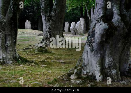 Balnuaran of Clava Cairns in der Nähe von Inverness, Schottland. Stehende Steinringe, die um das südliche kreisförmige Durchgangsgrab errichtet wurden, nachdem es außer Betrieb war Stockfoto