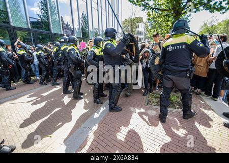 Polizeibeamte verwenden Schlagstöcke mit Gewalt, um Studenten-Demonstranten außerhalb des Universitätsgeländes während der Kundgebung zu zerstreuen. Studentenprotestierende und ihre Unterstützer besetzten kurzzeitig die Universität Amsterdam auf dem Campus Roeterseiland im Zentrum von Amsterdam, die Polizei setzte extrem harte Gewalt ein, um die große Studentenschaft zu zerstreuen. Die Demonstranten wollen, dass die Universität alle Verbindungen zu israelischen Institutionen abbaut, um das Volk des Gazastreifens und den anhaltenden Völkermord an seinem Volk durch die israelische Verteidigungsstreitkräfte (IDF) zu unterstützen. Stockfoto