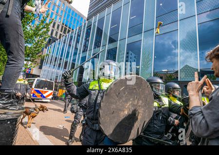 Polizeibeamte verwenden Schlagstöcke mit Gewalt, um Studenten-Demonstranten außerhalb des Universitätsgeländes während der Kundgebung zu zerstreuen. Studentenprotestierende und ihre Unterstützer besetzten kurzzeitig die Universität Amsterdam auf dem Campus Roeterseiland im Zentrum von Amsterdam, die Polizei setzte extrem harte Gewalt ein, um die große Studentenschaft zu zerstreuen. Die Demonstranten wollen, dass die Universität alle Verbindungen zu israelischen Institutionen abbaut, um das Volk des Gazastreifens und den anhaltenden Völkermord an seinem Volk durch die israelische Verteidigungsstreitkräfte (IDF) zu unterstützen. Stockfoto