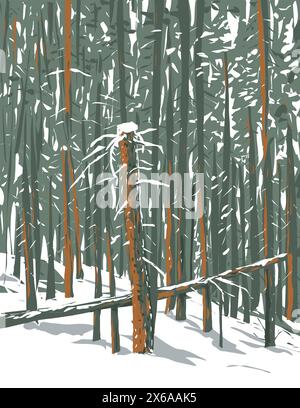 WPA-Poster Kunst des Waldes aus subalpinen Tannen, Limber-Kiefern und Borstenkiefern im Winter am Echo Lake, Idaho Springs in Colorado, USA, in Werksprojekten Stock Vektor