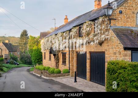 Wisteria floribunda 'Alba' blüht am frühen Morgen auf einem Ferienhaus. Horley, Oxfordshire, England Stockfoto