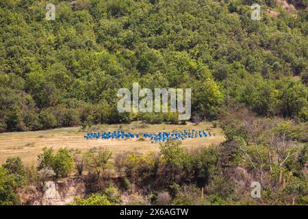 Viele Bienenstöcke hintereinander auf einer Lichtung im Wald. Aserbaidschan. Stockfoto