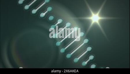 Bild von Lichtflecken und dna-Strang auf schwarzem Hintergrund Stockfoto