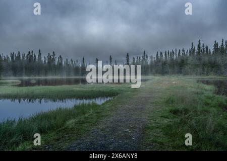 Nebeliger Morgen am ruhigen See in Sjusjøen, Norwegen - das Erwachen des Waldes. Am frühen Morgen schwebt Nebel über einem ruhigen Teich, der von dichten Wäldern umgeben ist Stockfoto